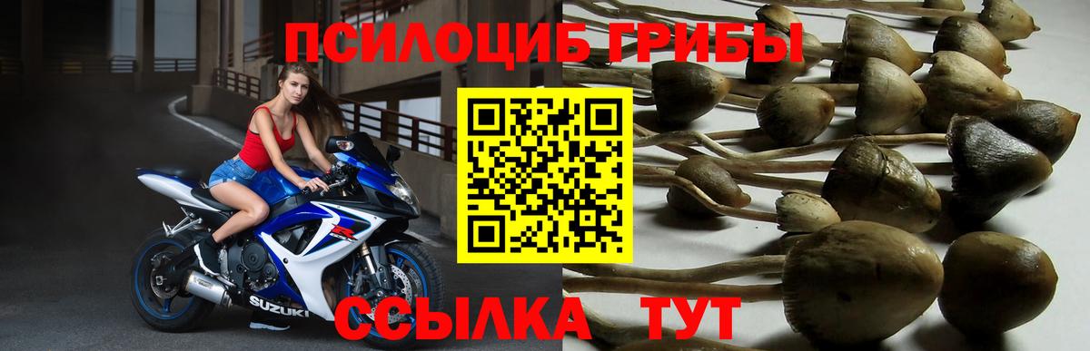Галлюциногенные грибы прущие грибы  Вход с VPN  Туймазы 